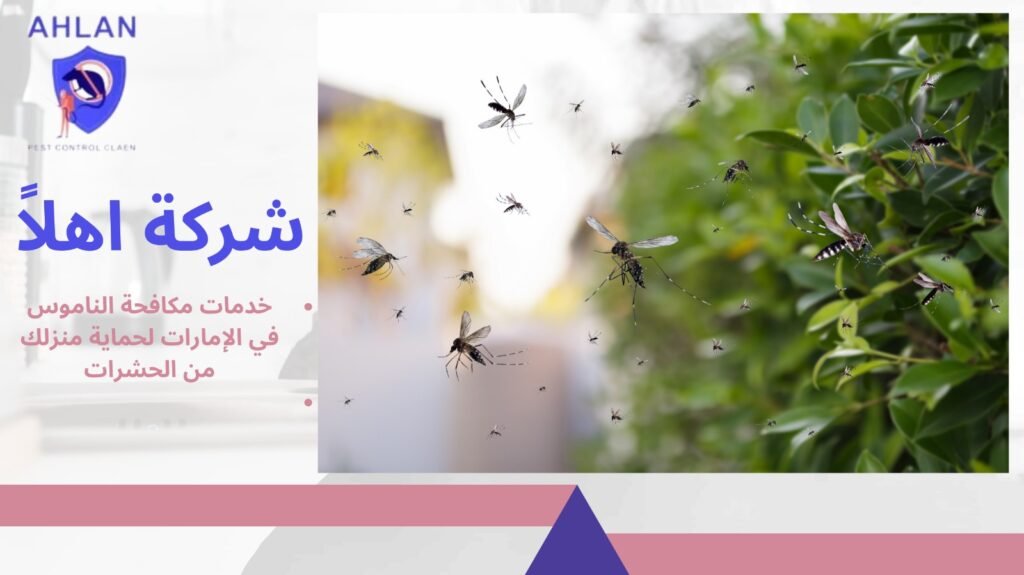 مكافحة الناموس في الإمارات