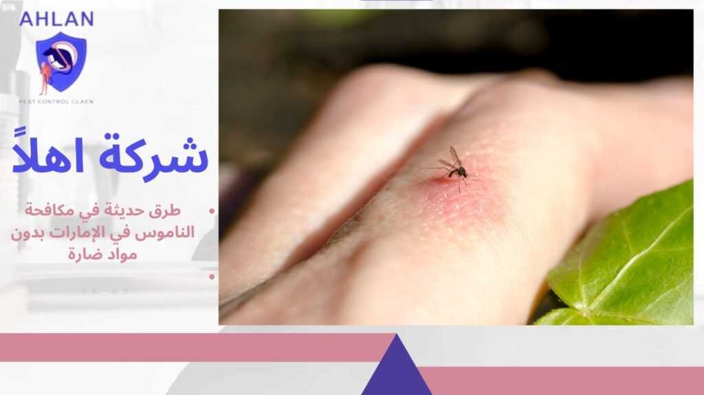 مكافحة الناموس في الإمارات