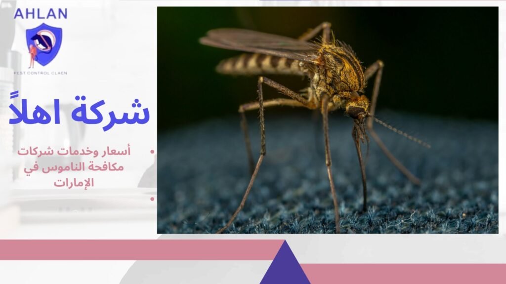 مكافحة الناموس في الإمارات