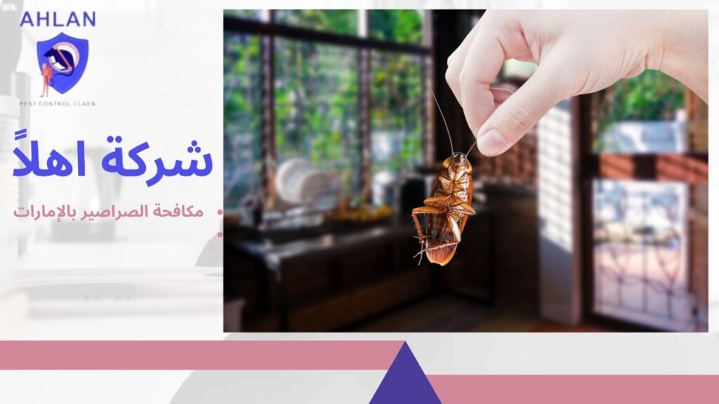 مكافحة الصراصير بالإمارات