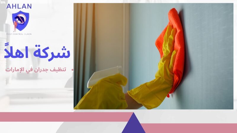 تنظيف جدران في الإمارات