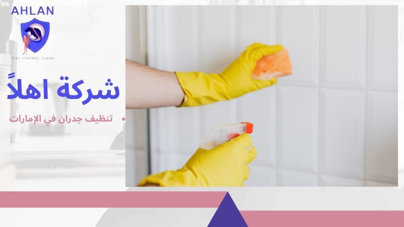 تنظيف جدران في الإمارات