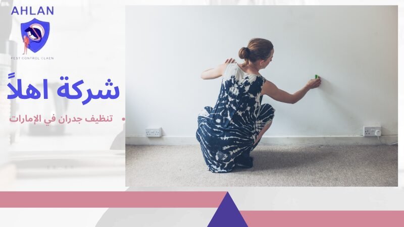 تنظيف جدران في الإمارات
