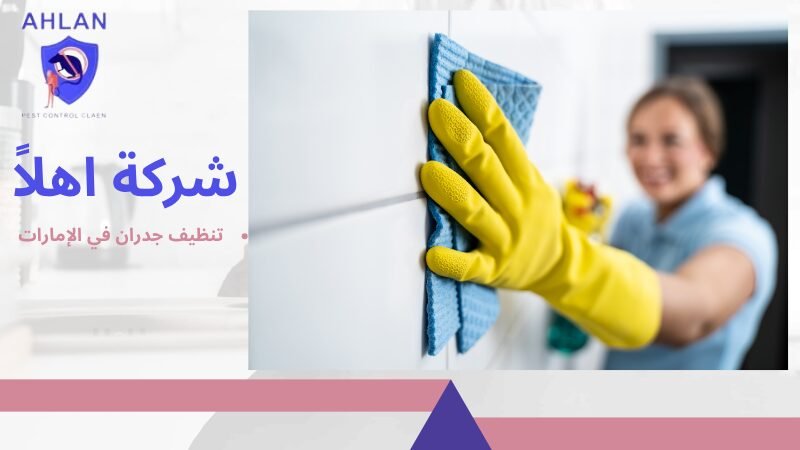 تنظيف جدران في الإمارات