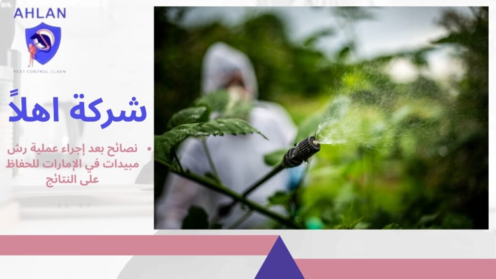 رش مبيدات في الإمارات