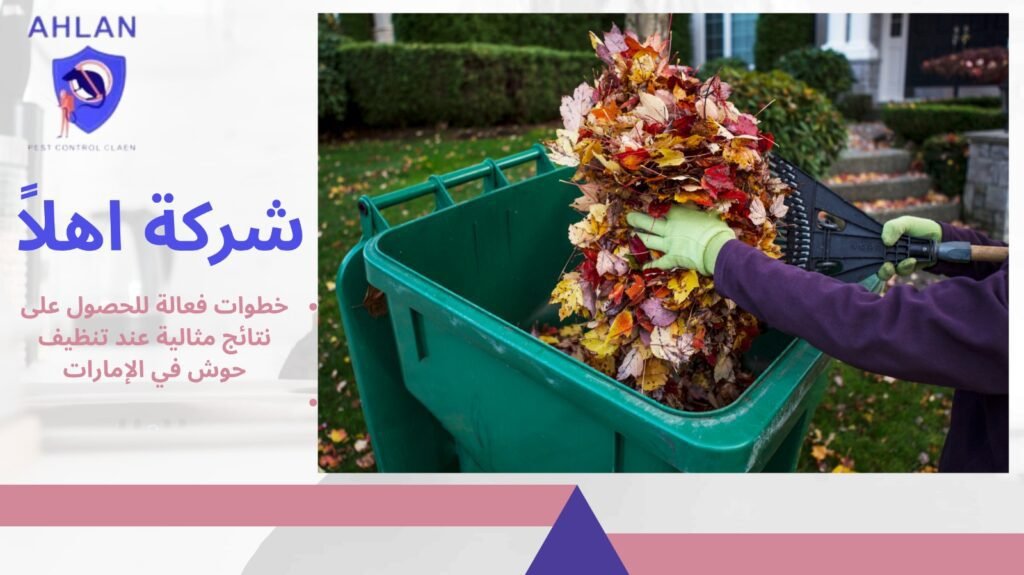 تنظيف حوش في الإمارات