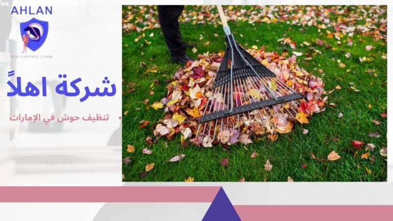 تنظيف حوش في الإمارات
