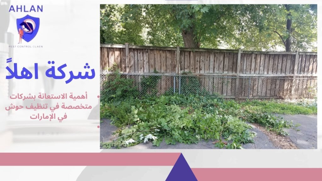 تنظيف حوش في الإمارات