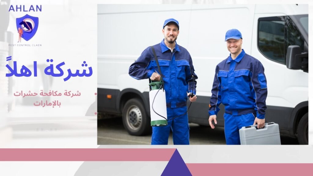 شركة مكافحة حشرات بالإمارات