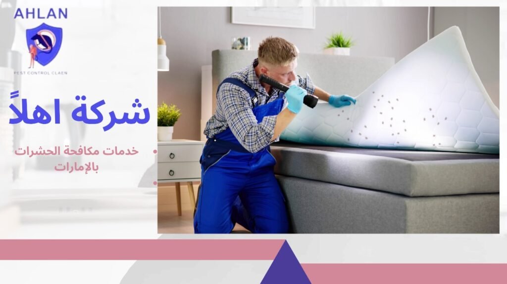 خدمات مكافحة الحشرات بالإمارات