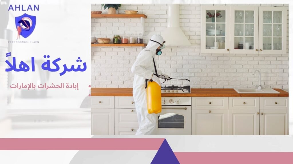 إبادة الحشرات بالإمارات