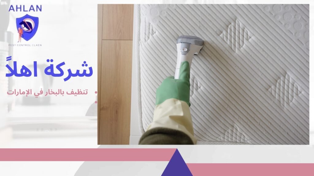 تنظيف بالبخار في الإمارات