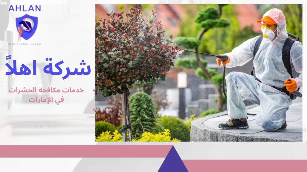 خدمات مكافحة الحشرات في الإمارات