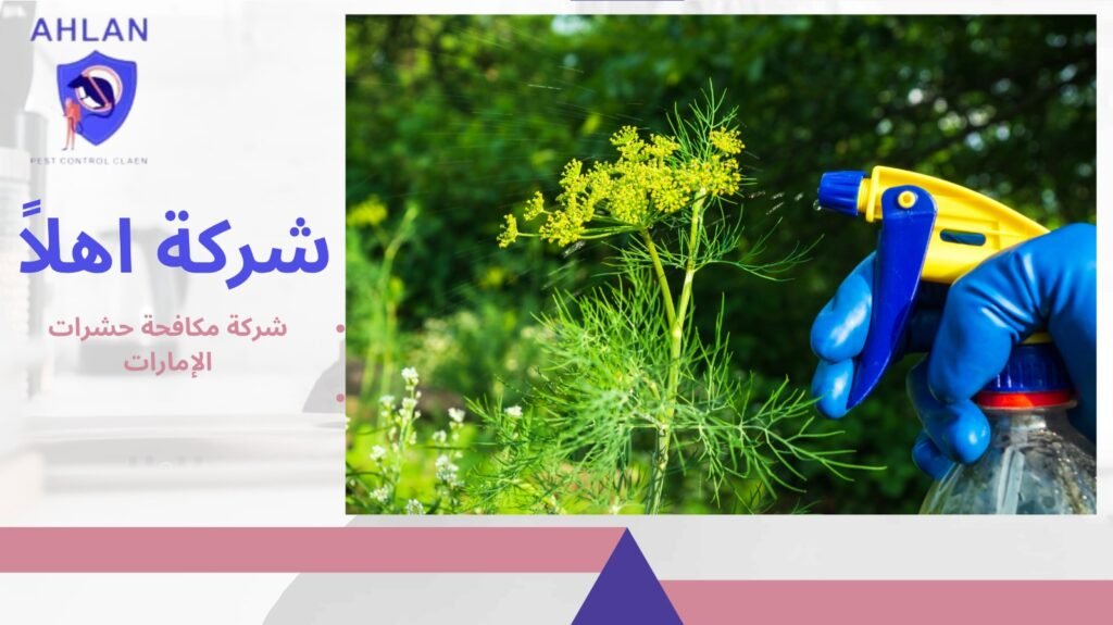 شركة مكافحة حشرات الإمارات
