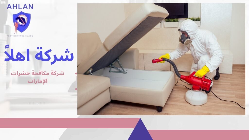 شركة مكافحة حشرات الإمارات