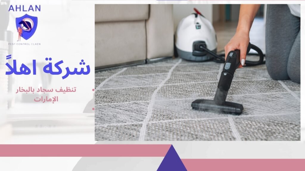 تنظيف سجاد بالبخار الإمارات