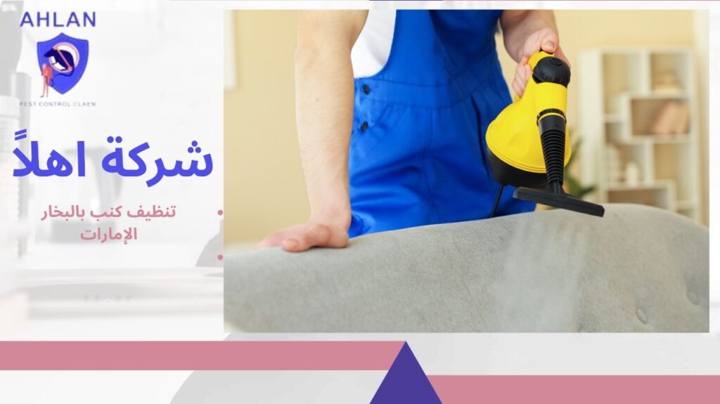 تنظيف كنب بالبخار الإمارات