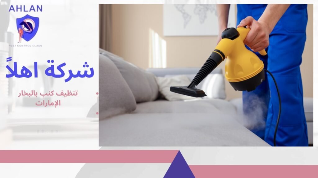 تنظيف كنب بالبخار الإمارات
