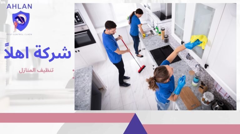 تنظيف المنازل