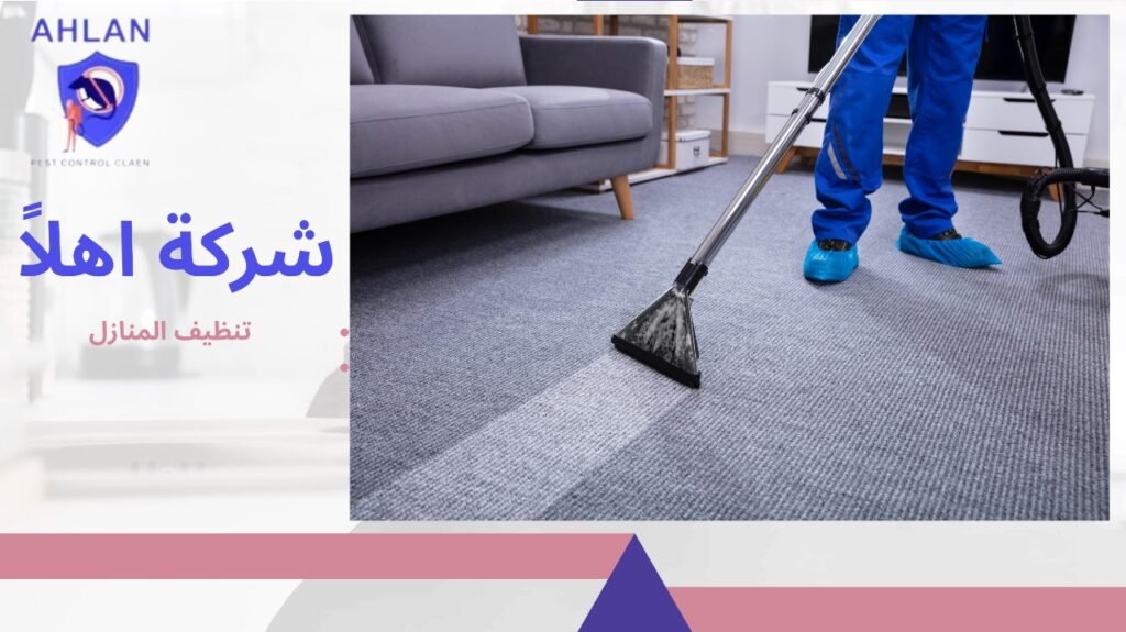 تنظيف المنازل