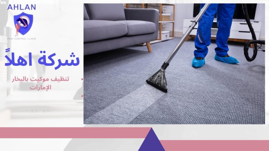 تنظيف موكيت بالبخار الإمارات