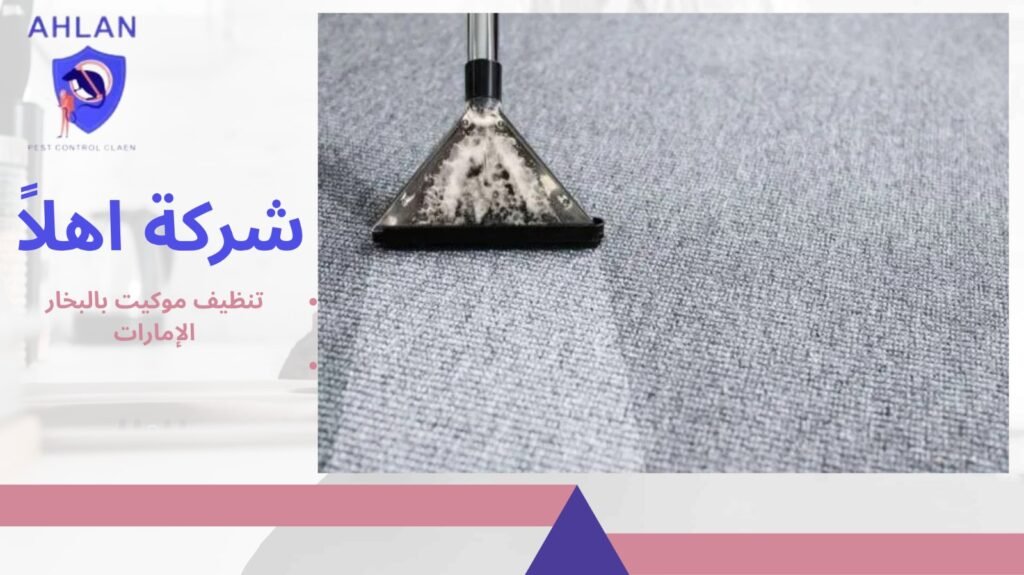 تنظيف موكيت بالبخار الإمارات