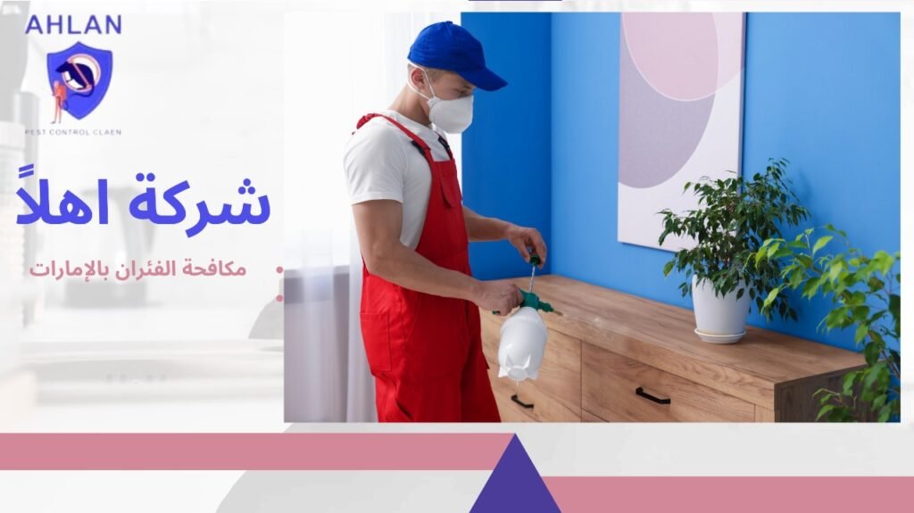 مكافحة الفئران بالإمارات