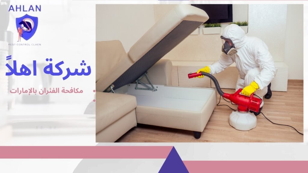 مكافحة الفئران بالإمارات