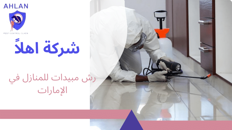 رش مبيدات للمنازل في الإمارات