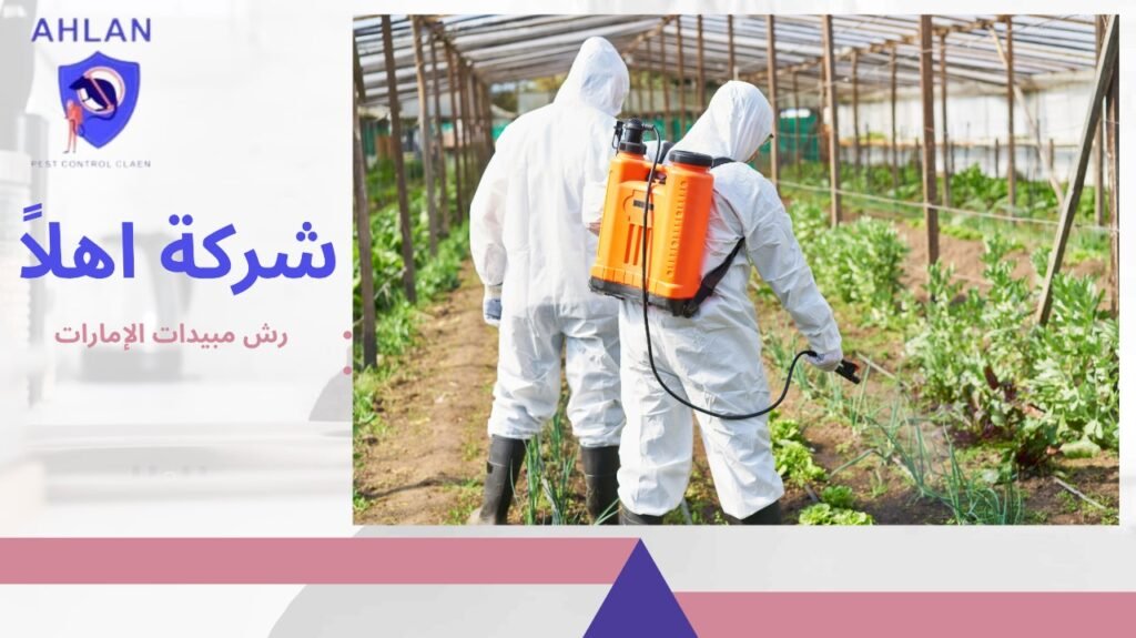 رش مبيدات الإمارات