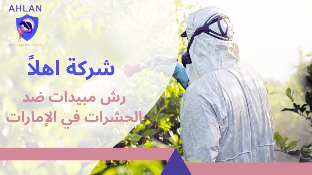 رش مبيدات ضد الحشرات في الإمارات