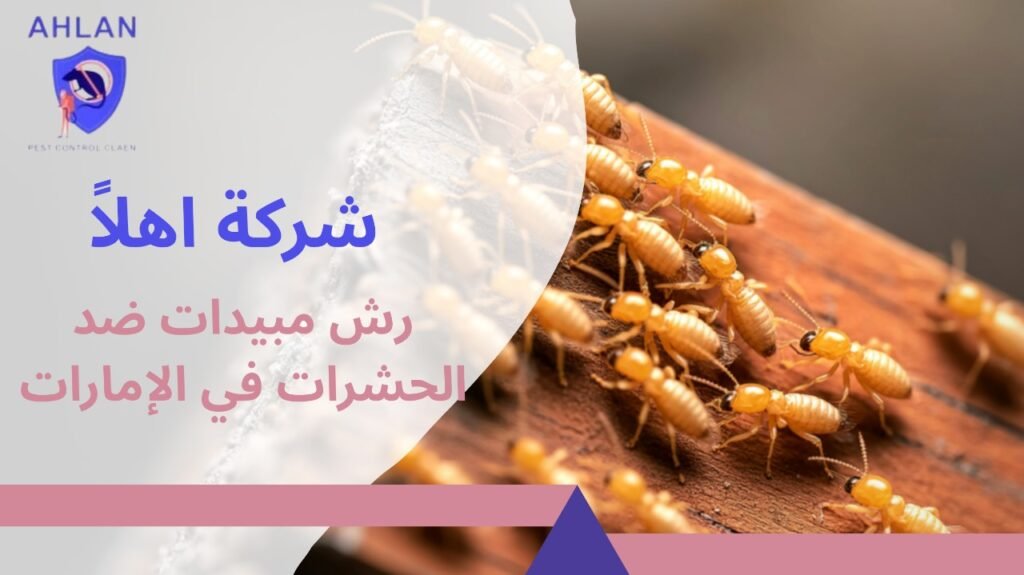 رش مبيدات ضد الحشرات في الإمارات