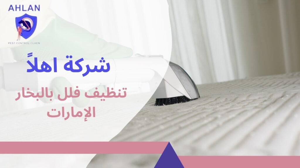 تنظيف فلل بالبخار الإمارات