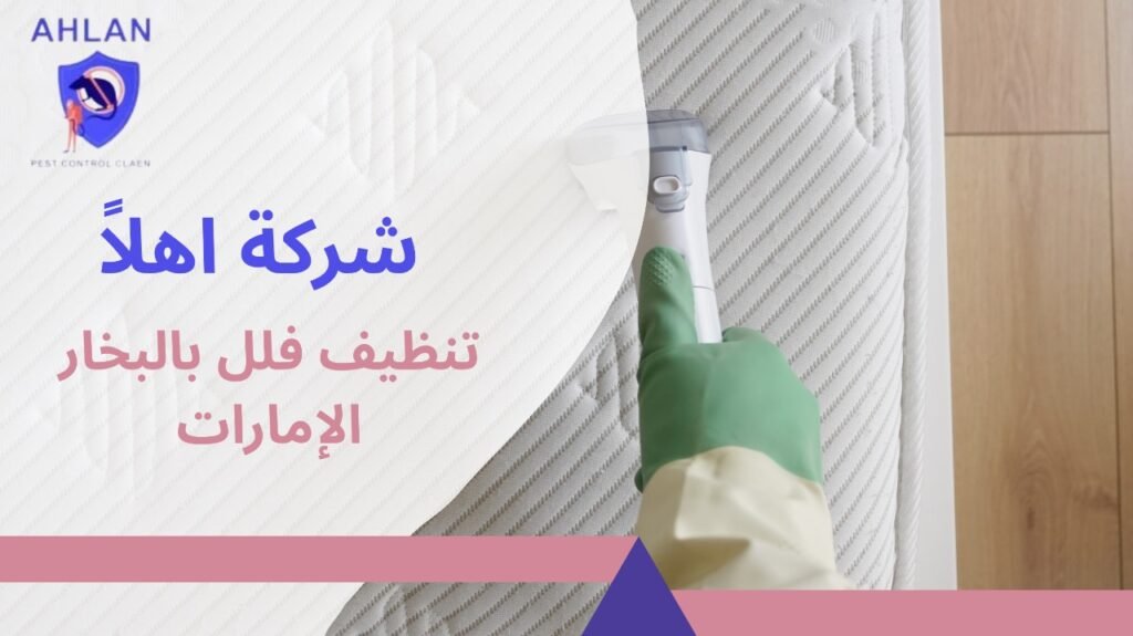 تنظيف فلل بالبخار الإمارات