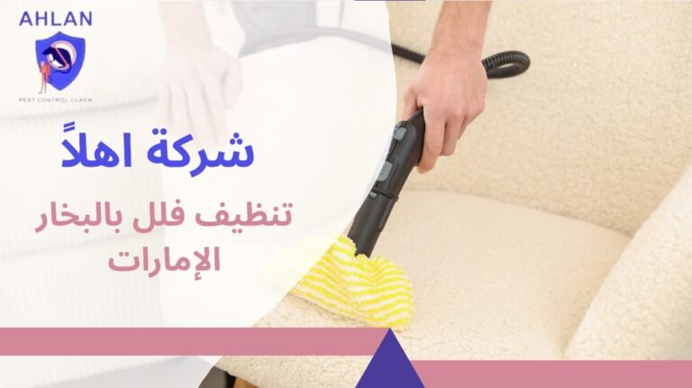 تنظيف فلل بالبخار الإمارات
