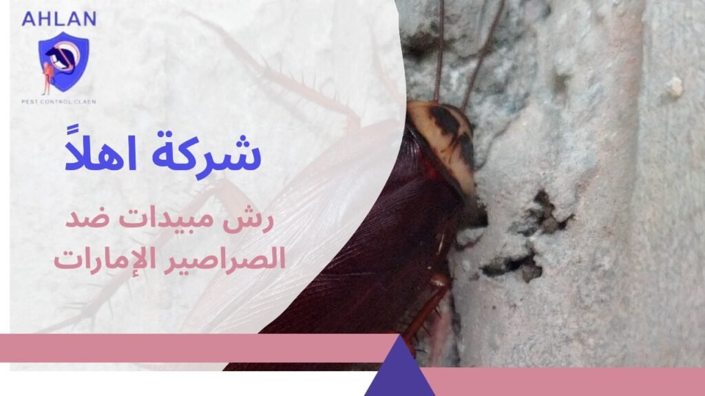 رش مبيدات ضد الصراصير الإمارات