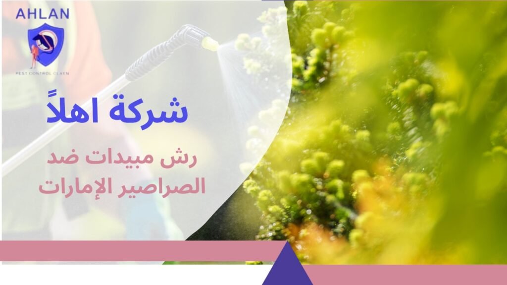 رش مبيدات ضد الصراصير الإمارات