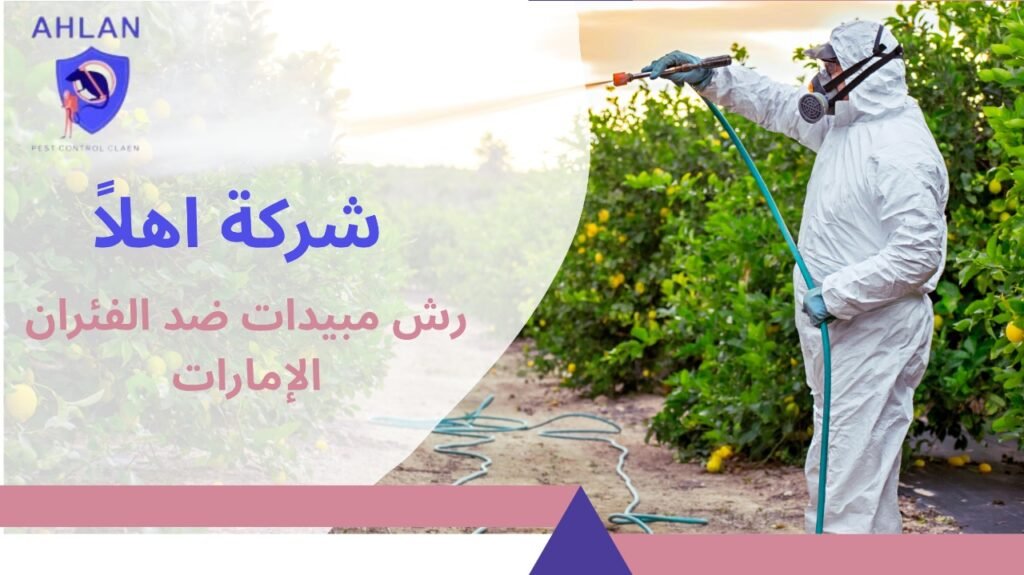رش مبيدات ضد الفئران الإمارات