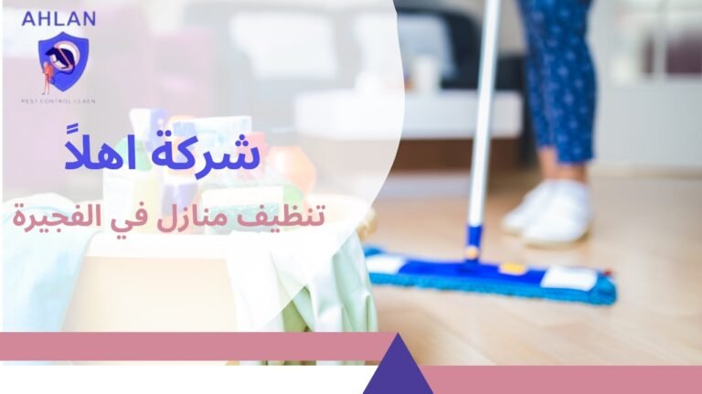 تنظيف منازل في الفجيرة بخدمة احترافية لتنظيف عميق وتعقيم 10%