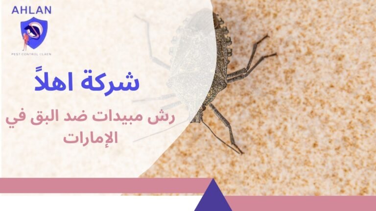 رش مبيدات ضد البق في الإمارات بخدمة مرخصة تقضي على الحشرة10%
