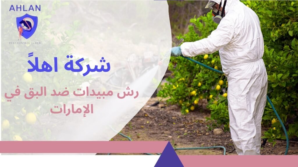 رش مبيدات ضد البق في الإمارات