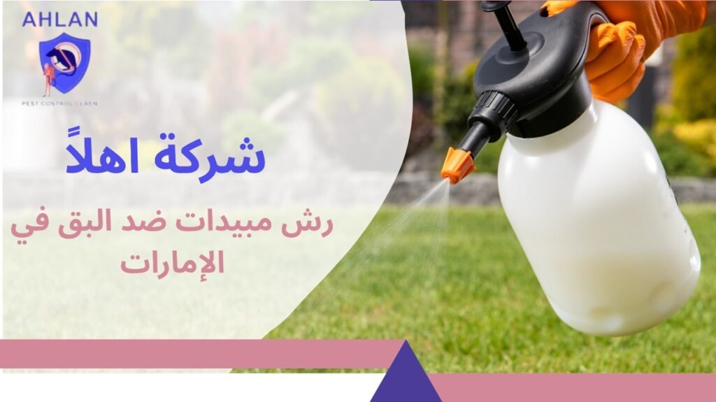 رش مبيدات ضد البق في الإمارات
