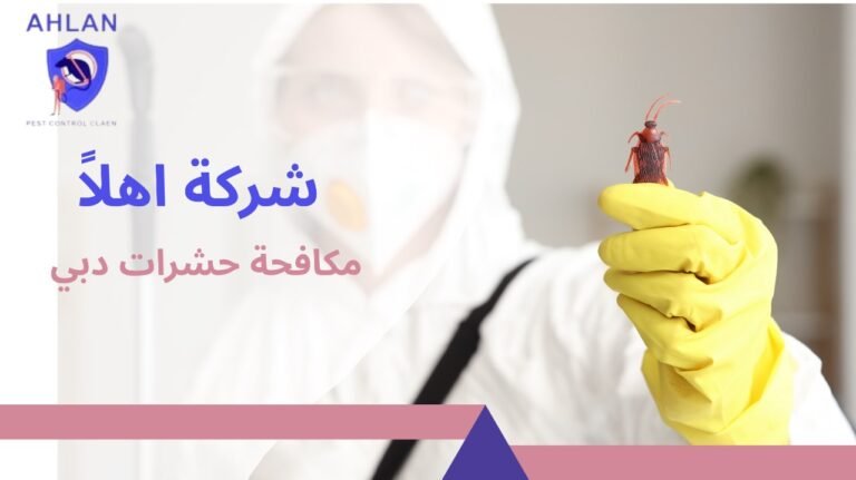 مكافحة حشرات دبي