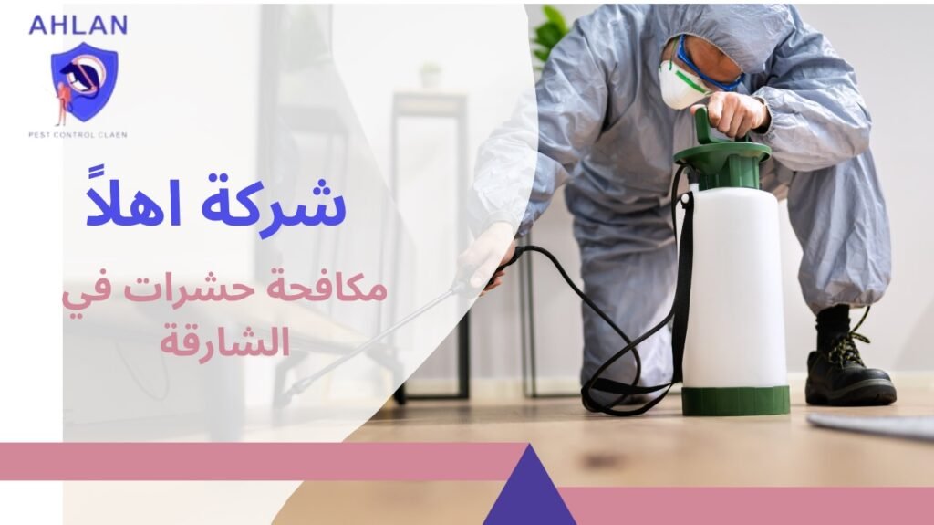 مكافحة حشرات في الشارقة