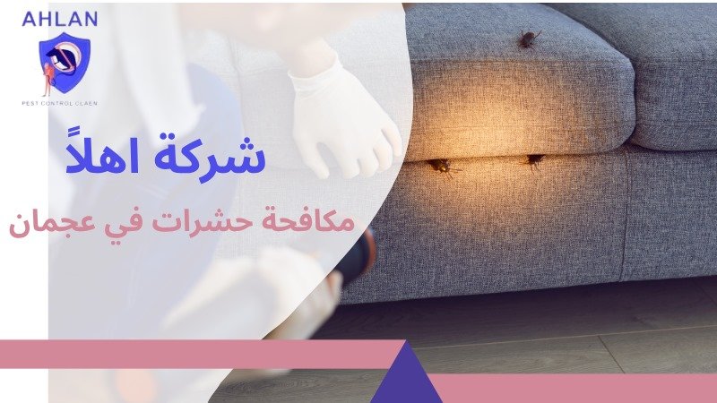 مكافحة حشرات في عجمان