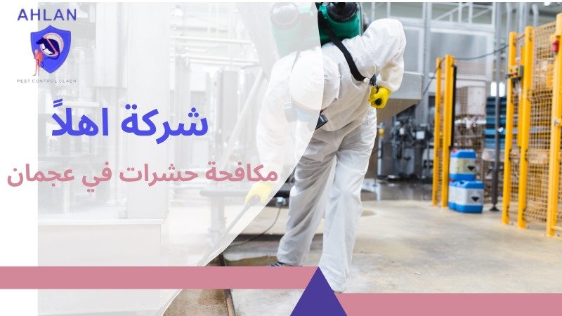 مكافحة حشرات في عجمان