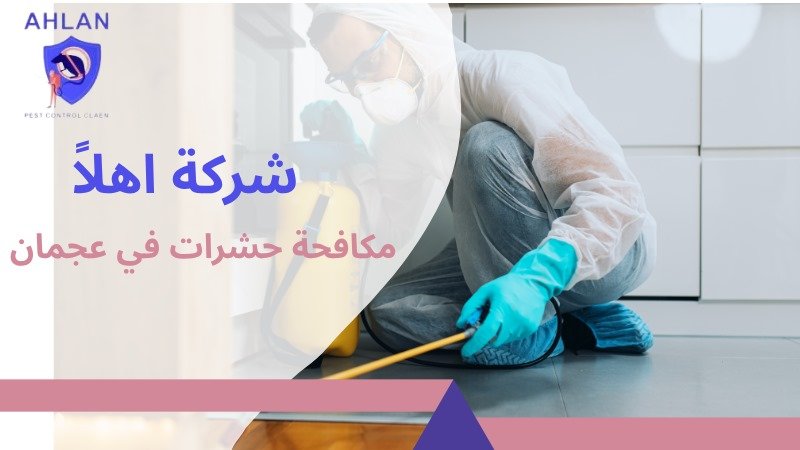 مكافحة حشرات في عجمان