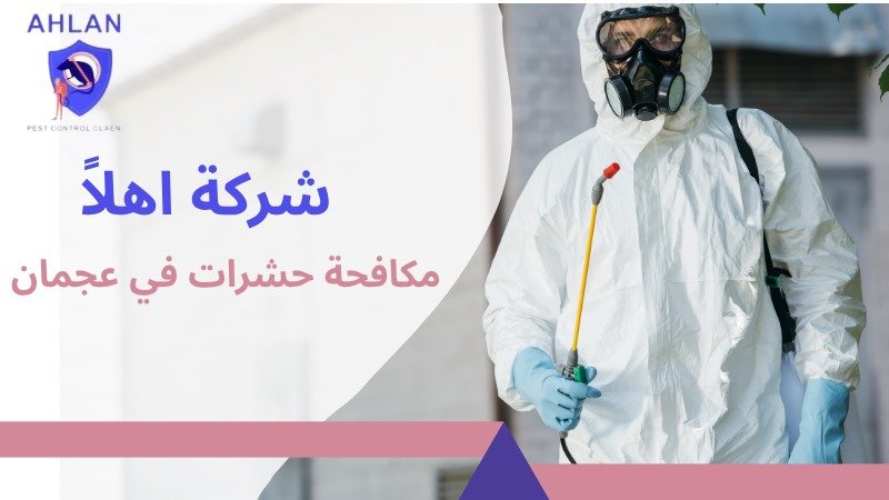 مكافحة حشرات في عجمان