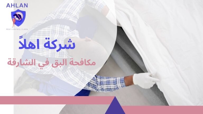 مكافحة البق في الشارقة