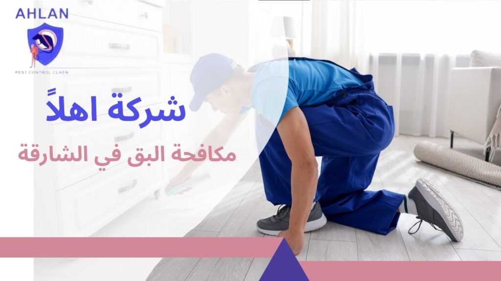 مكافحة البق في الشارقة